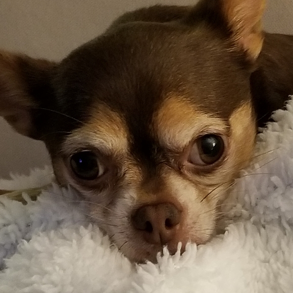 Meet your Posher, Lynn - Picture 2 of 3